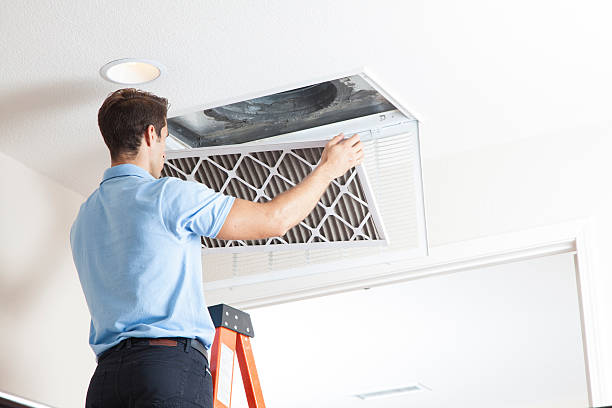 Best Ductless HVAC repair  in North Branch, MI